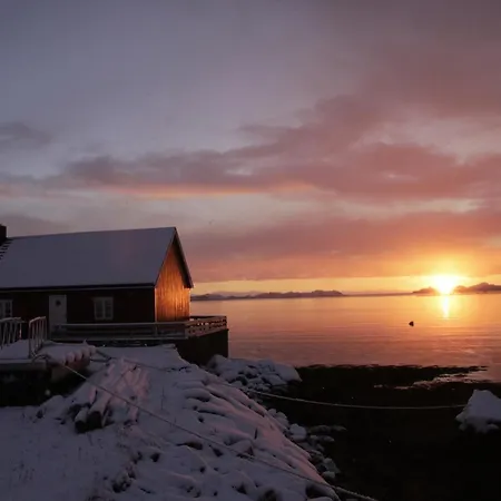 Semesterbostad Solodden, Authentic Rorbu In Lofoten Sennesvik